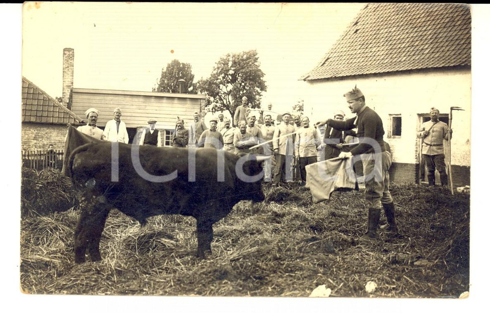 Fotografia d epoca originale 1915 ca WW1 FRANCE Ufficiali in campagna giocano alla corrida Foto CURIOSA RARA 1