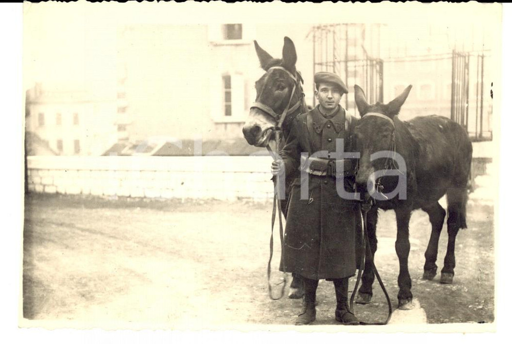 Fotografia d epoca originale 1941 WW2 MARSEILLE Ufficiale 43° reggimento fanteria con due muli Foto 1