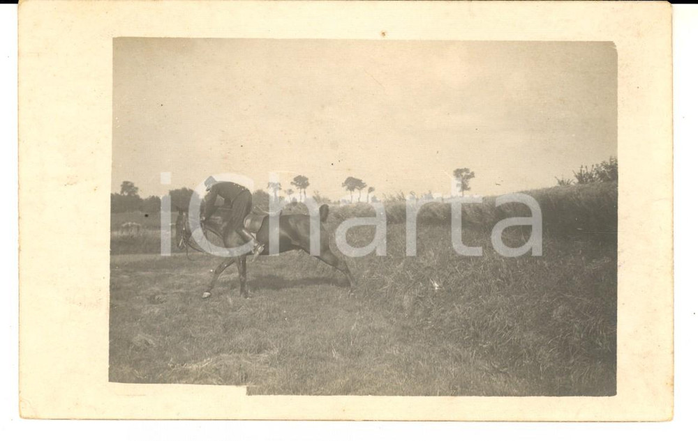 Fotografia d epoca originale 1910 ca FRANCIA Ufficiale di fanteria durante un addestramento a cavallo Foto 1
