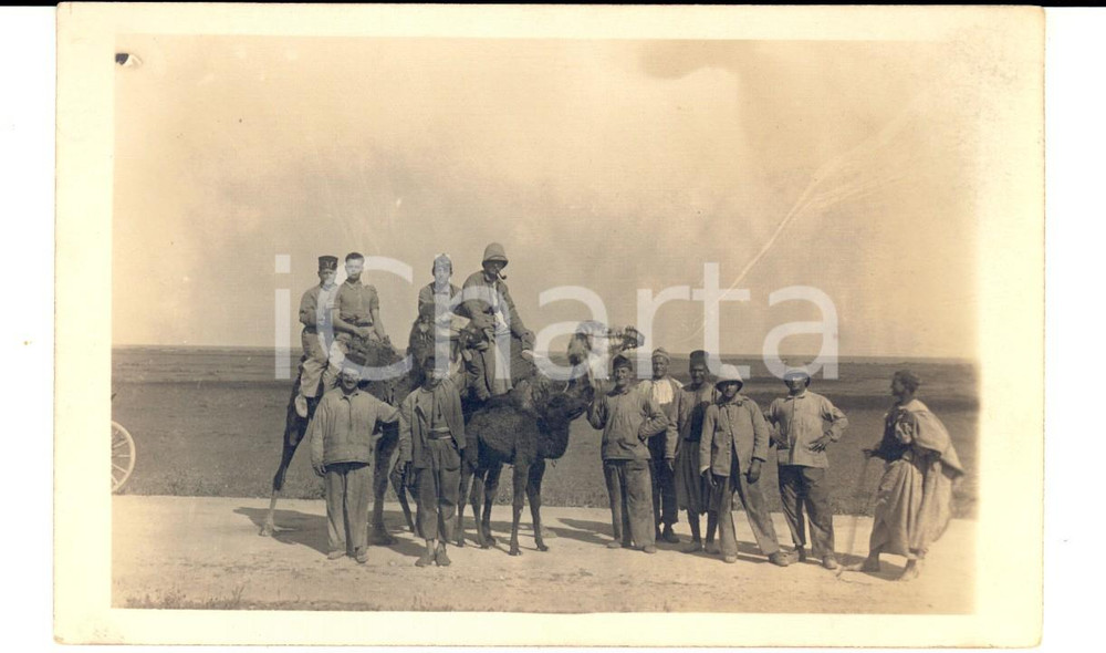 Fotografia d epoca originale 1920 ca MAROC Officiers LEGION ETRANGERE dans le dÃ©sert Ã  dos de chameau Photo 1