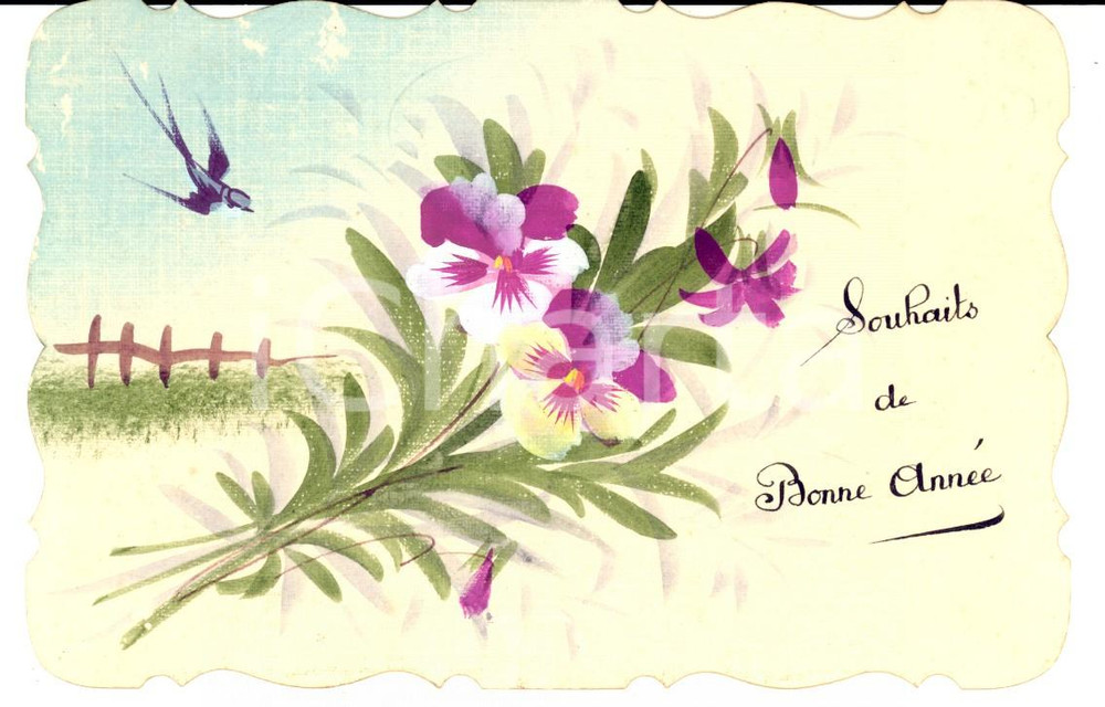 Cartolina originale da collezione 1911 FRANCIA Veuve MOURON Cartolina augurale con fiori e rondine DIPINTA A MANO 1