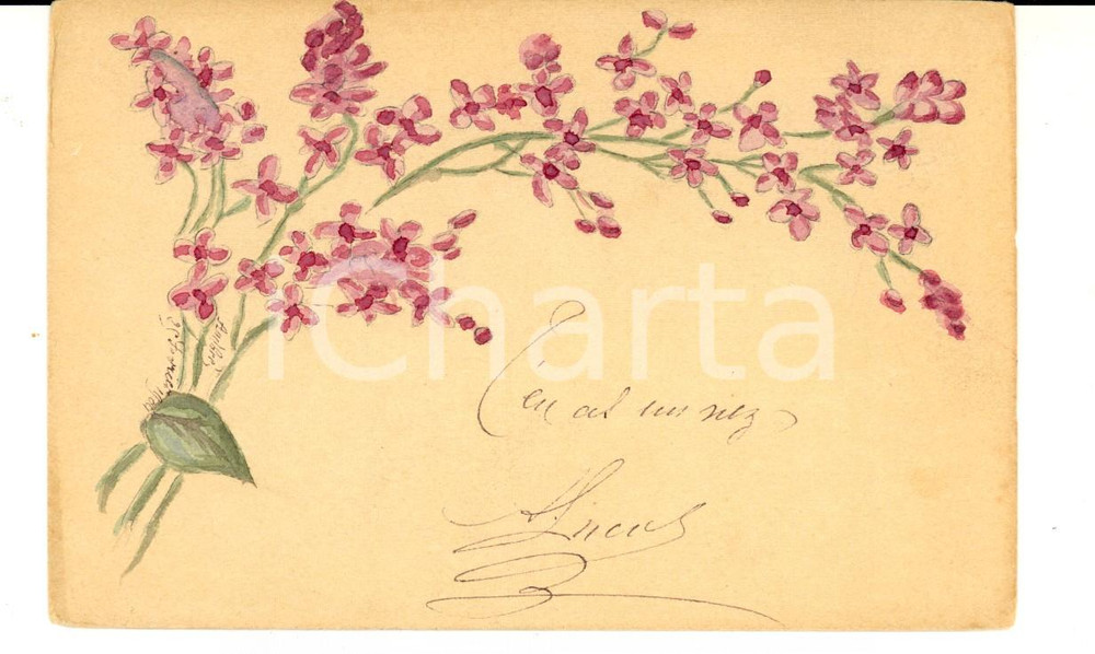 Cartolina originale da collezione 1910 ca FRANCIA A. LUCAS Fantasia di fiori viola Cartolina DIPINTA A MANO 1