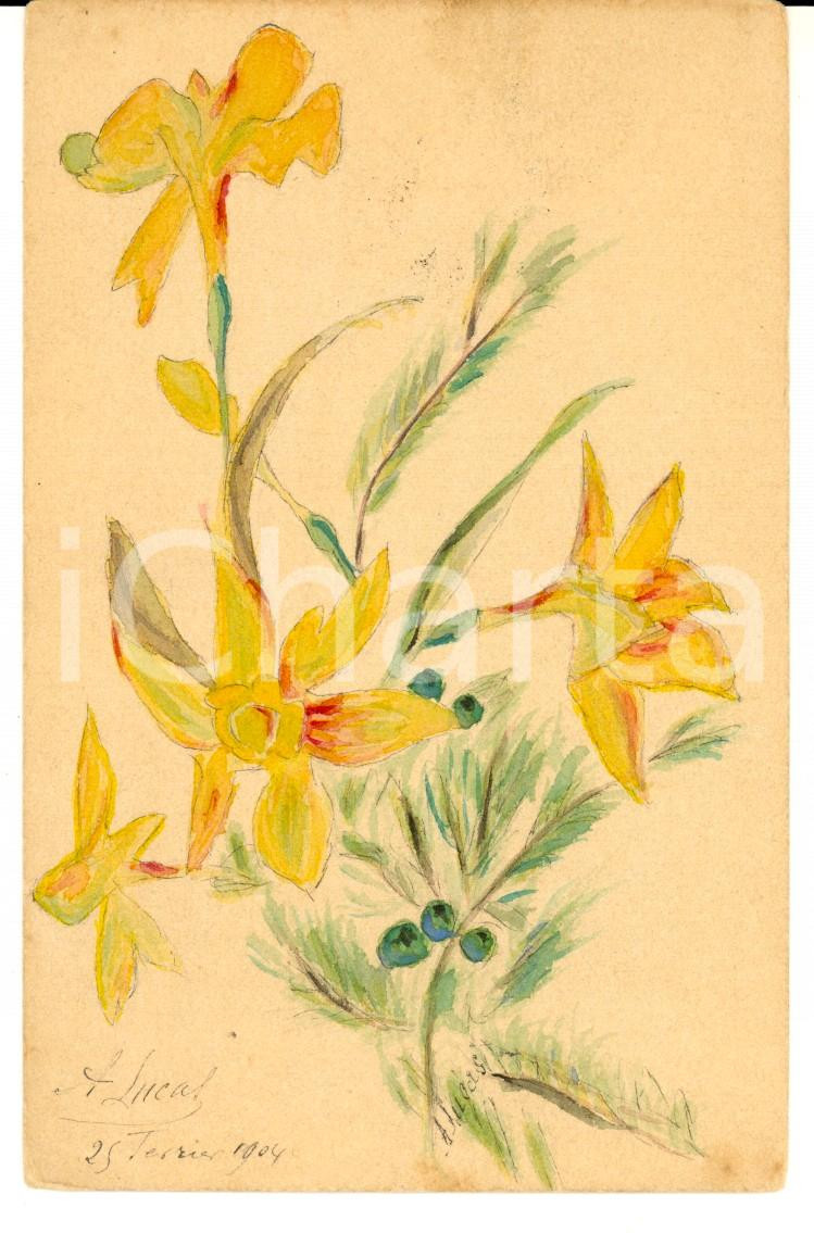Cartolina originale da collezione 1904 FRANCE A. LUCAS Cartolina augurale conf iori gialli DIPINTA A MANO 1