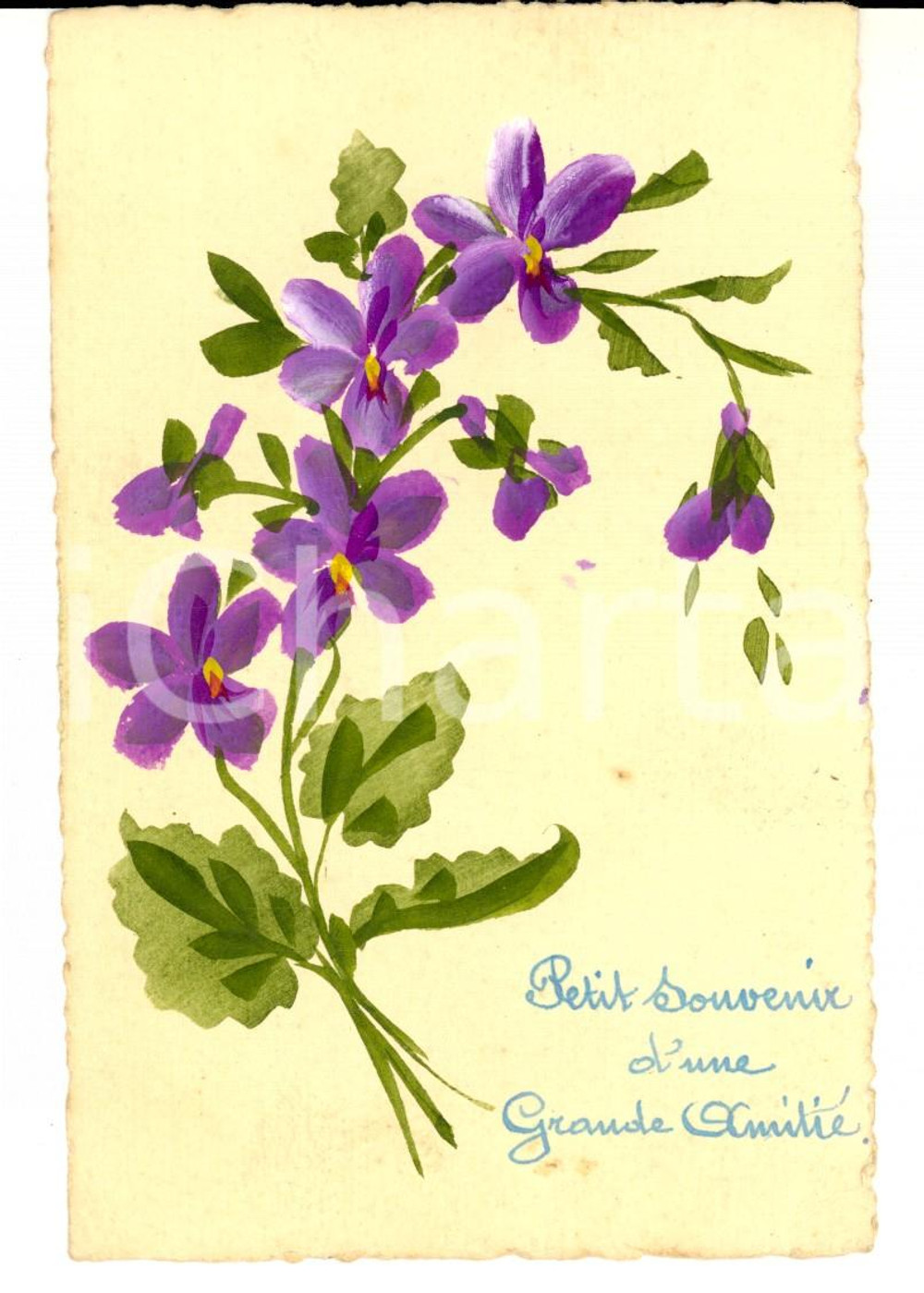 Cartolina originale da collezione 1910 ca FRANCIA Cartolina amicizia con fiori viola DIPINTA A MANO 1