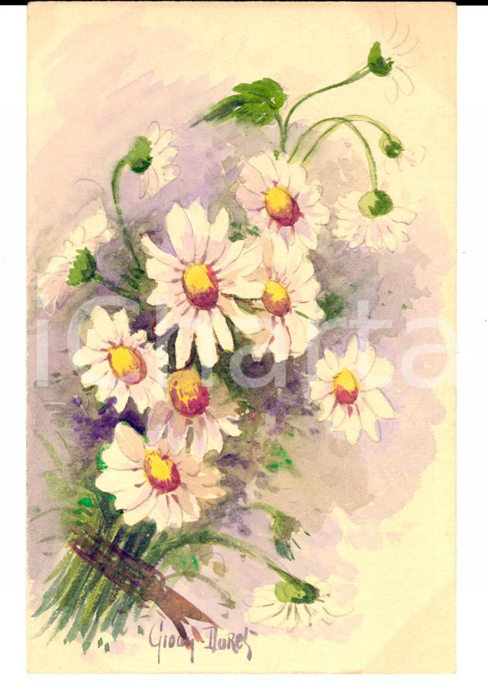 Cartolina originale da collezione 1910 ca FRANCIA Cartolina con margherite Gioay DOREL DIPINTA A MANO 1