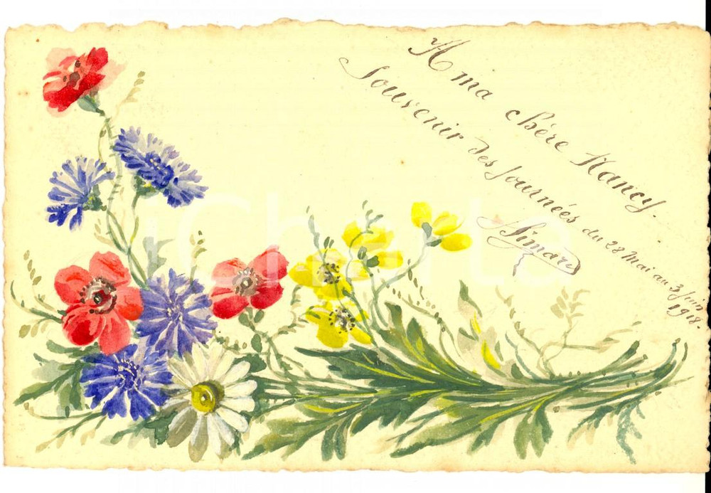 Cartolina originale da collezione 1910 ca FRANCIA Cartolina augurale con fiori di campo DIPINTA A MANO FP NV 1