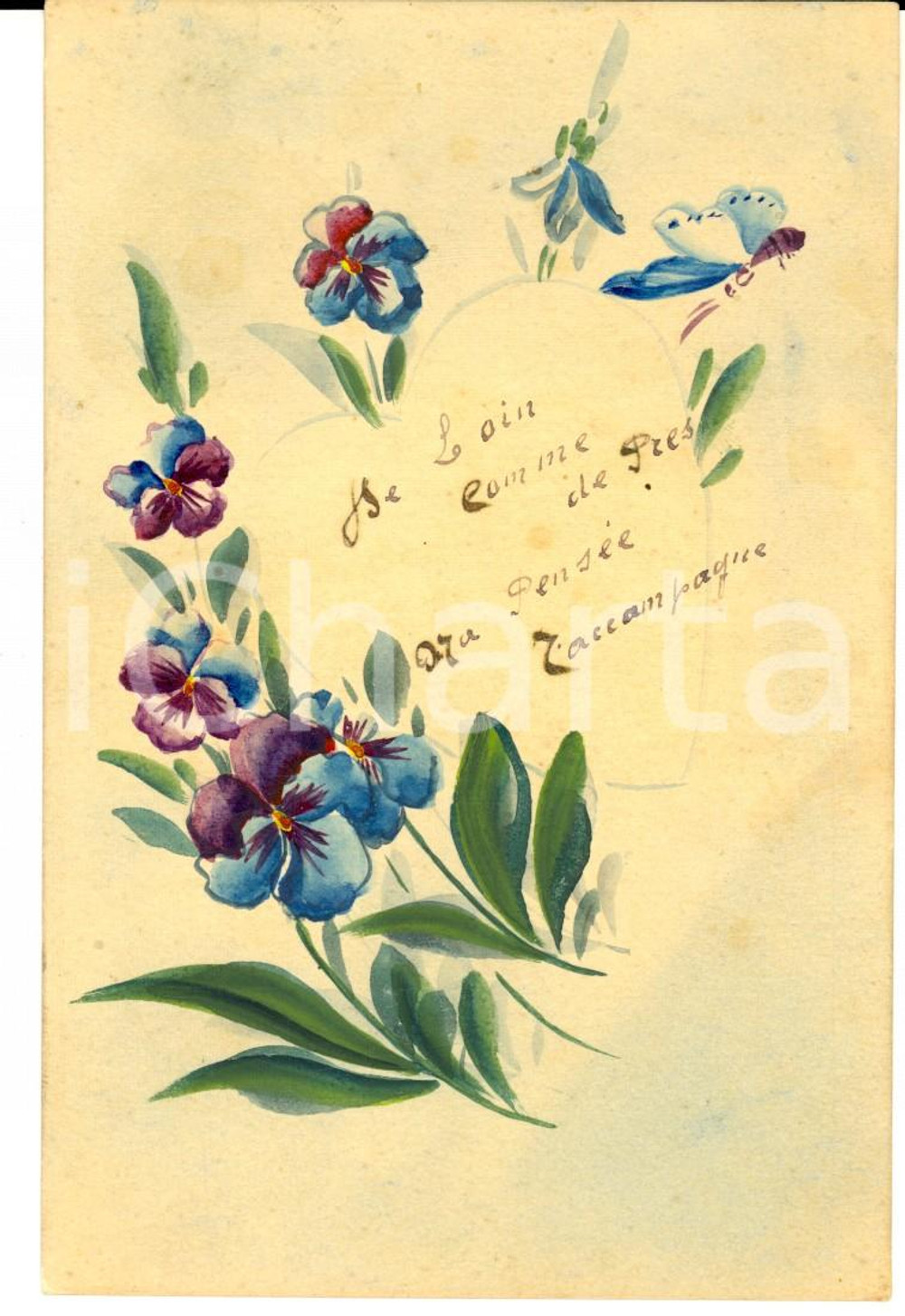 Cartolina originale da collezione 1920 ca FRANCIA Violette con una farfalla Bozzetto DIPINTO A MANO 1
