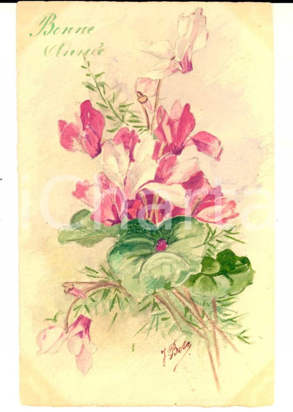 Cartolina originale da collezione 1910 ca FRANCIA J. BOSE Cartolina BONNE ANNEE con fiori rosa DIPINTA A MANO 1