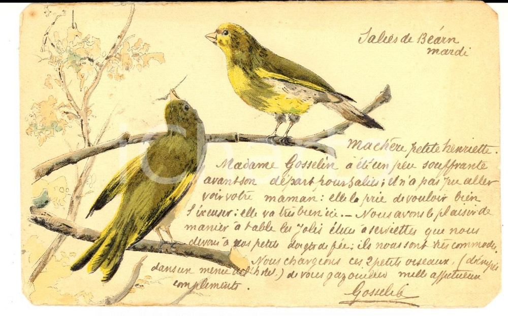 Cartolina originale da collezione 1902 SALIESDEBEARN F Cartolina augurale con passerotti GOSSELIN 1