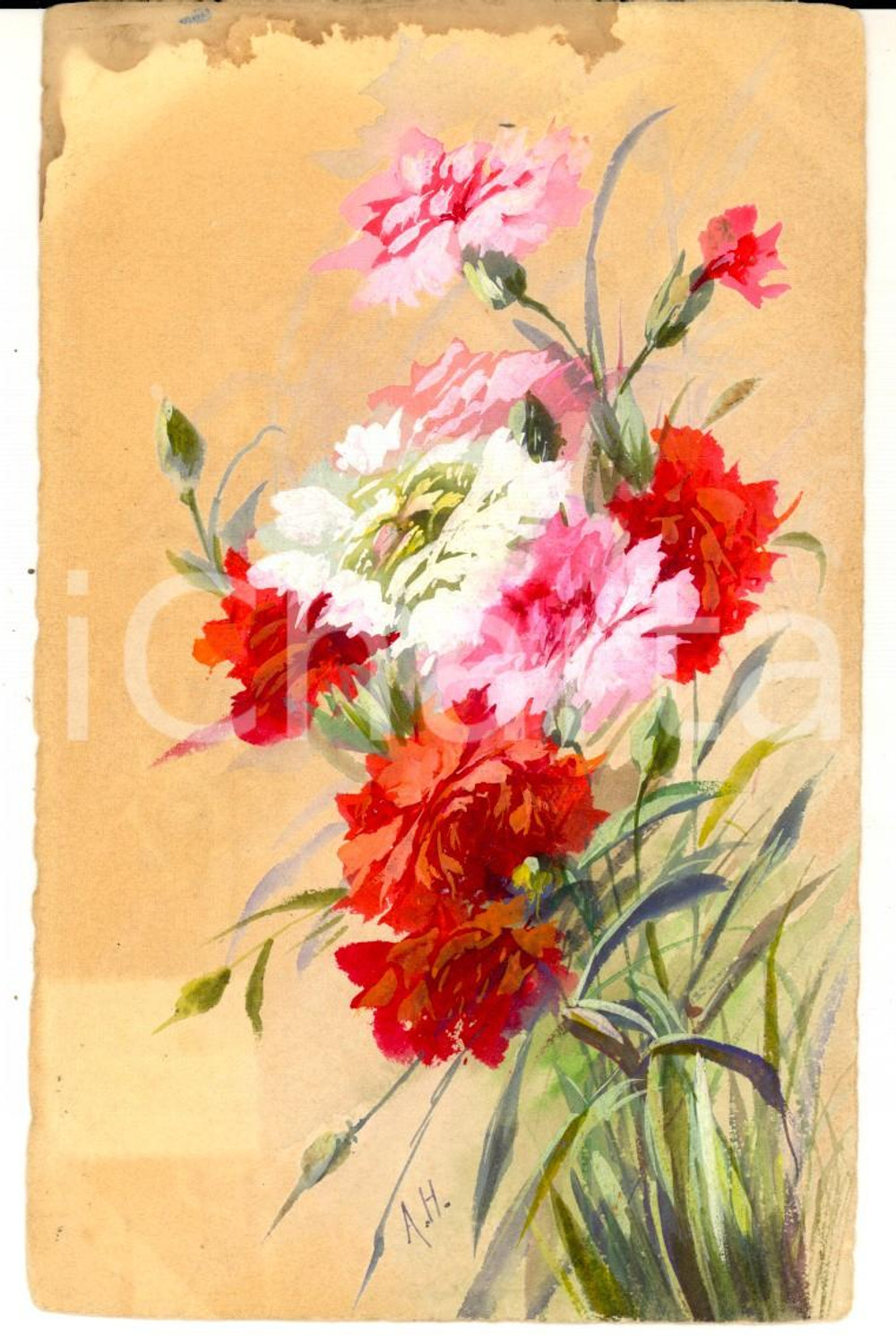 Cartolina originale da collezione 1920 ca FRANCIA Un mazzolino di fiori rossi e bianchi Cartolina DIPINTA A MANO 1