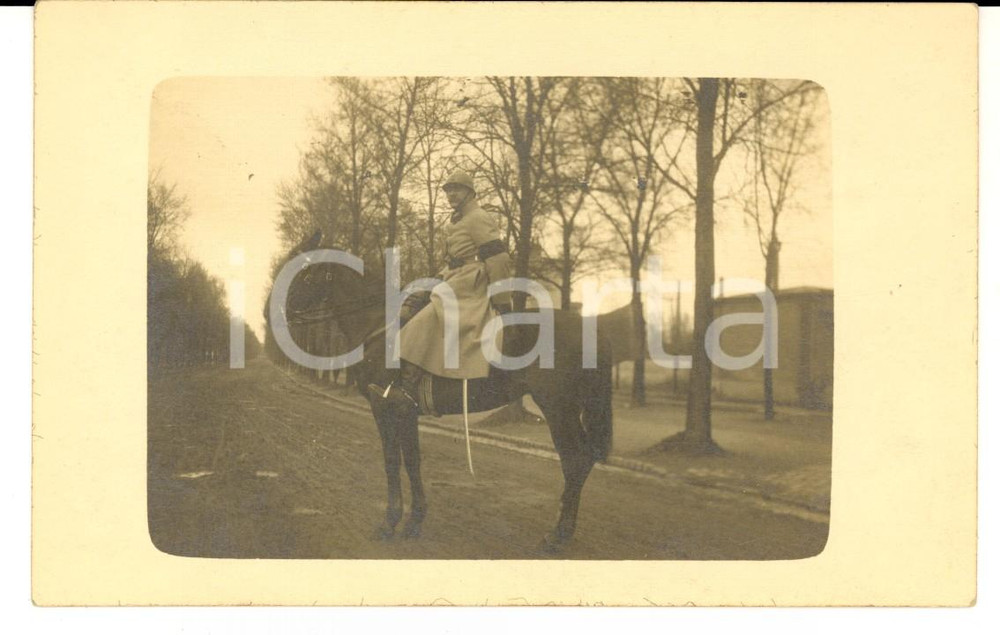 Fotografia d epoca originale 1915 ca WW1 FRANCIA Ufficiale posa a cavallo lungo un viale Foto FP 1