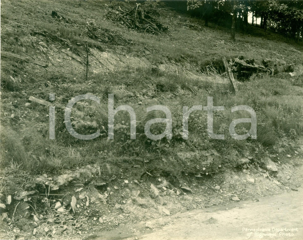 Fotografia d epoca originale 1930 GREENE COUNTY, PENNSYLVANIA USA Imbrigliamento frane per nuova autostrada 1