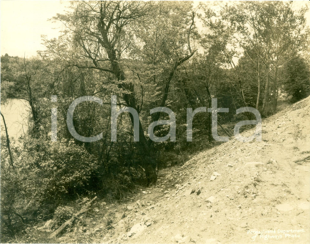 Fotografia d epoca originale 1933 FAYETTE COUNTY, PENNSYLVANIA USA Frana travolge alberi lungo la strada 1