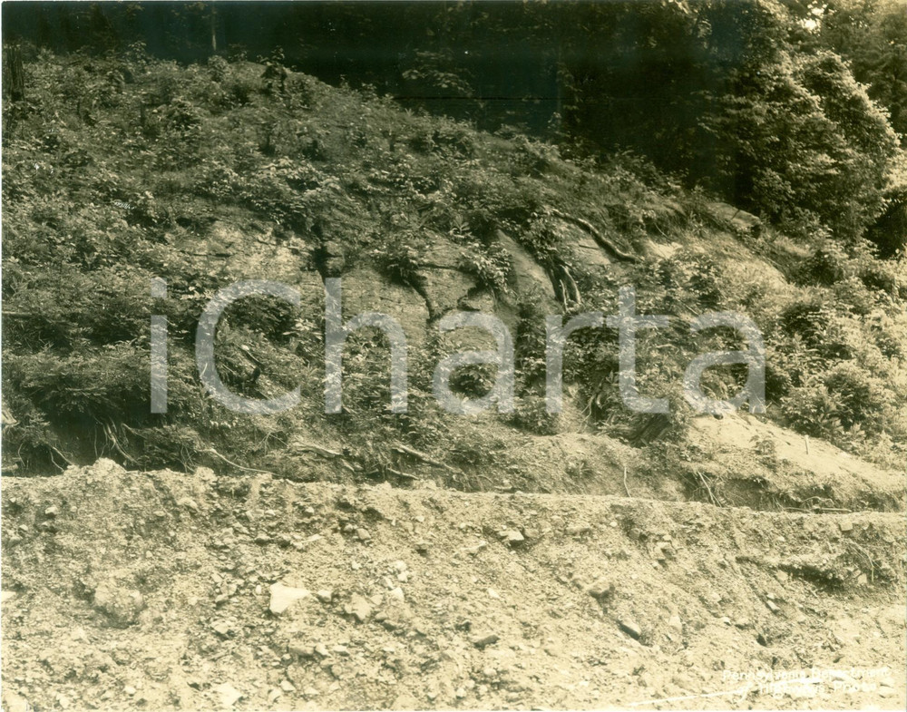 Fotografia d epoca originale 1933 FAYETTE COUNTY, PENNSYLVANIA USA Crinale franato sulla vecchia strada 1