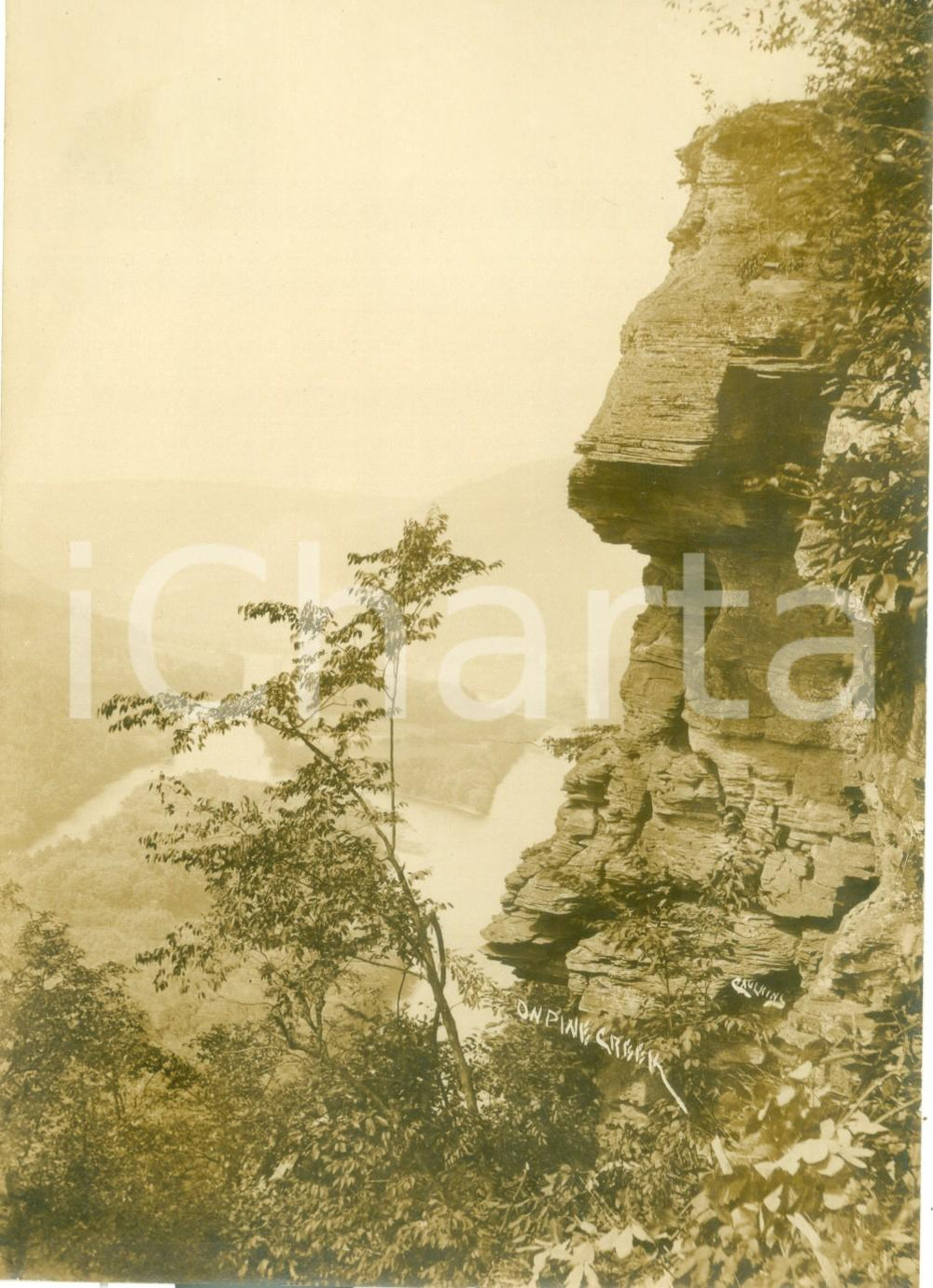 Fotografia d epoca originale 1908 CLINTON COUNTY, PENNSYLVANIA USA Veduta del Pine Creek Fotografia 1