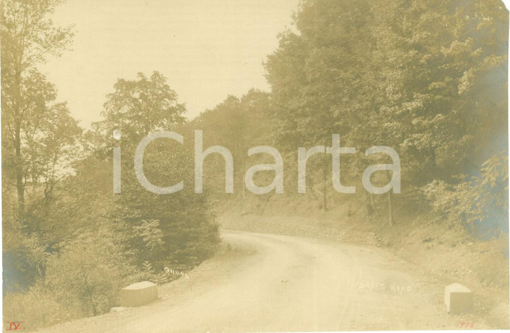Fotografia d epoca originale 1908 TROY, PENNSYLVANIA USA La nuova Long s Pond Road Fotografia 1