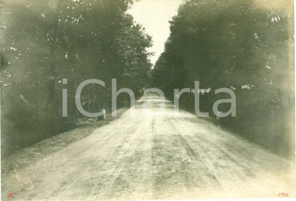 Fotografia d epoca originale 1908 TROY, PENNSYLVANIA USA Contadini sulla nuova Main Street Fotografia 1