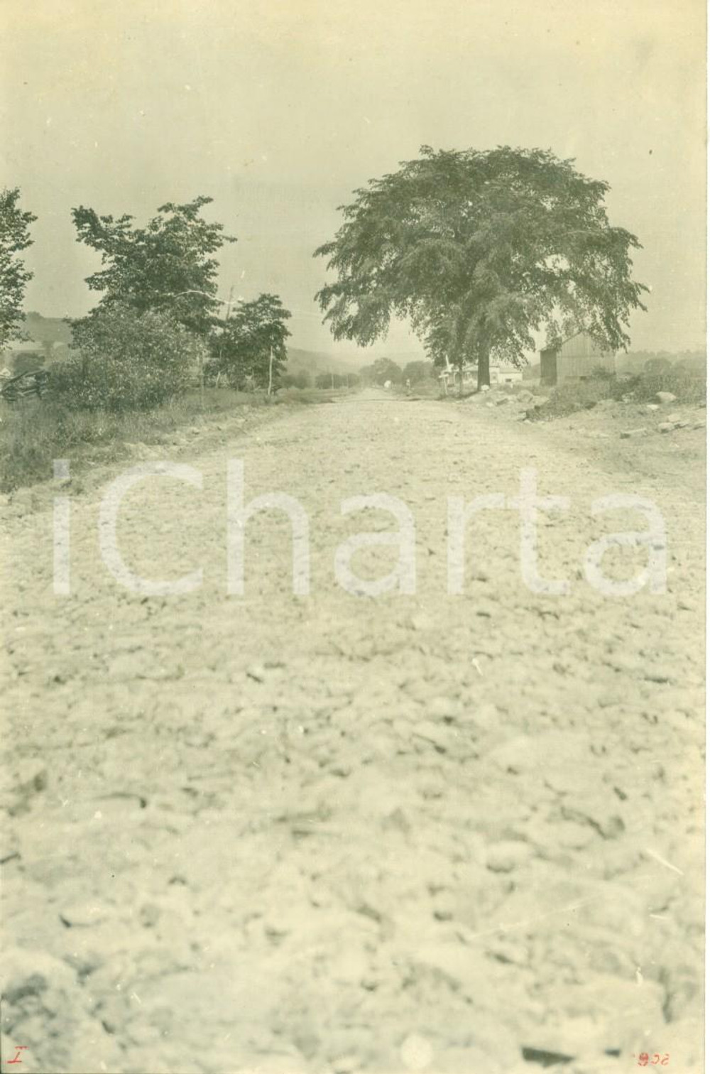 Fotografia d epoca originale 1908 DEERFIELD, PENNSYLVANIA USA Strato di ghiaia per nuova strada W.C. EVANS 1