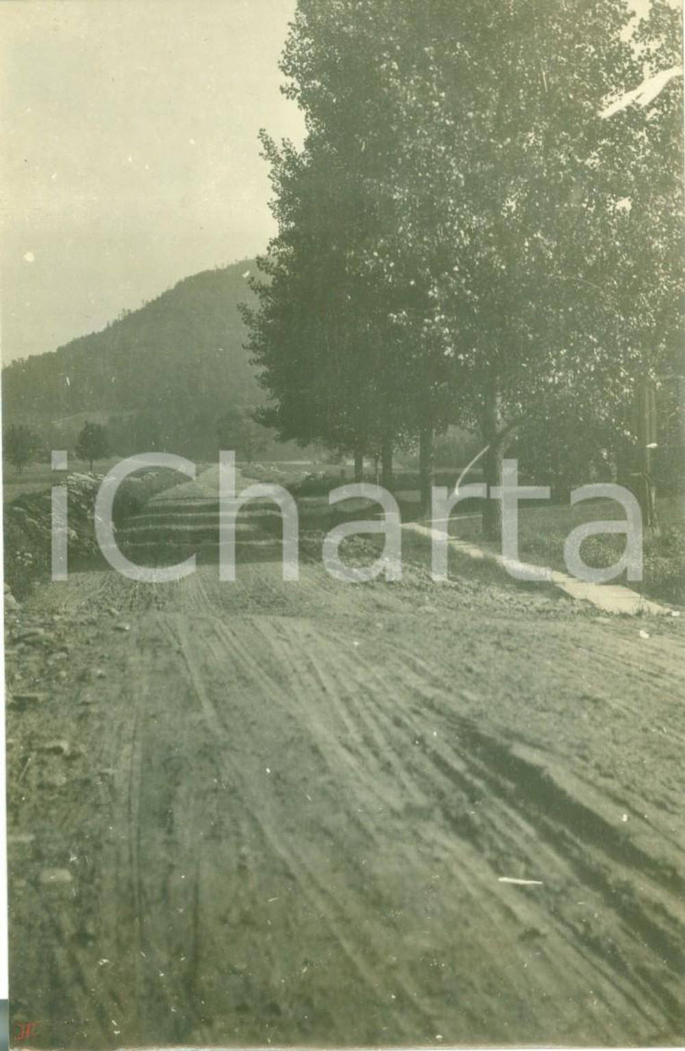 Fotografia d epoca originale 1908 DEERFIELD, PENNSYLVANIA La strada rurale per KNOXVILLE Fotografia 1
