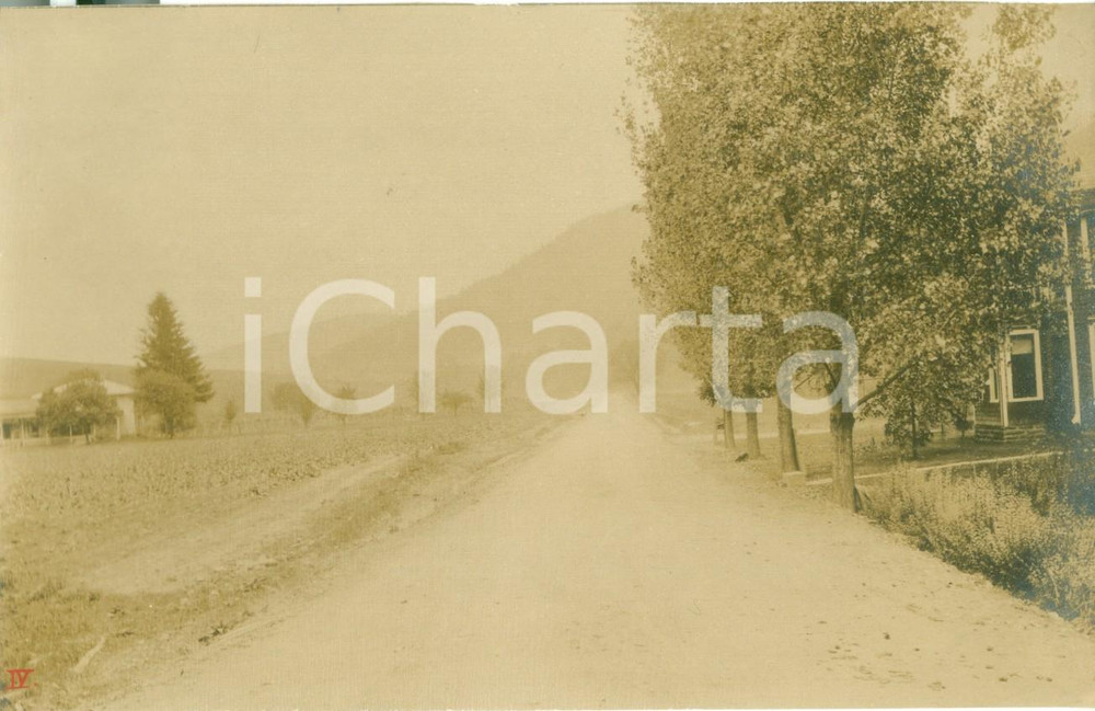 Fotografia d epoca originale 1908 DEERFIELD, PENNSYLVANIA USA Una strada rurale della TIOGA COUNTY Foto 1
