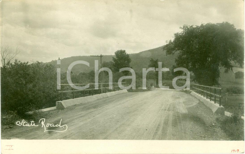 Fotografia d epoca originale 1907 COVINGTON, PENNSYLVANIA USA Veduta di WILLIAMSON ROAD ricostruita 1