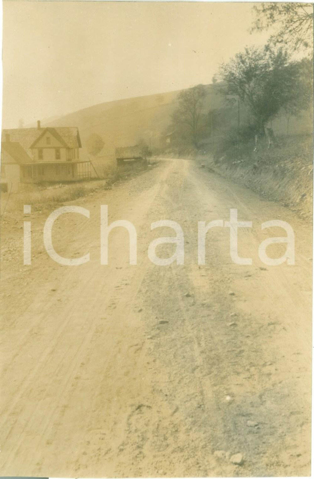 Fotografia d epoca originale 1908 SWEDEN, PENNSYLVANIA USA Lavori alla LYMAN CREEK ROAD Fotografia 1