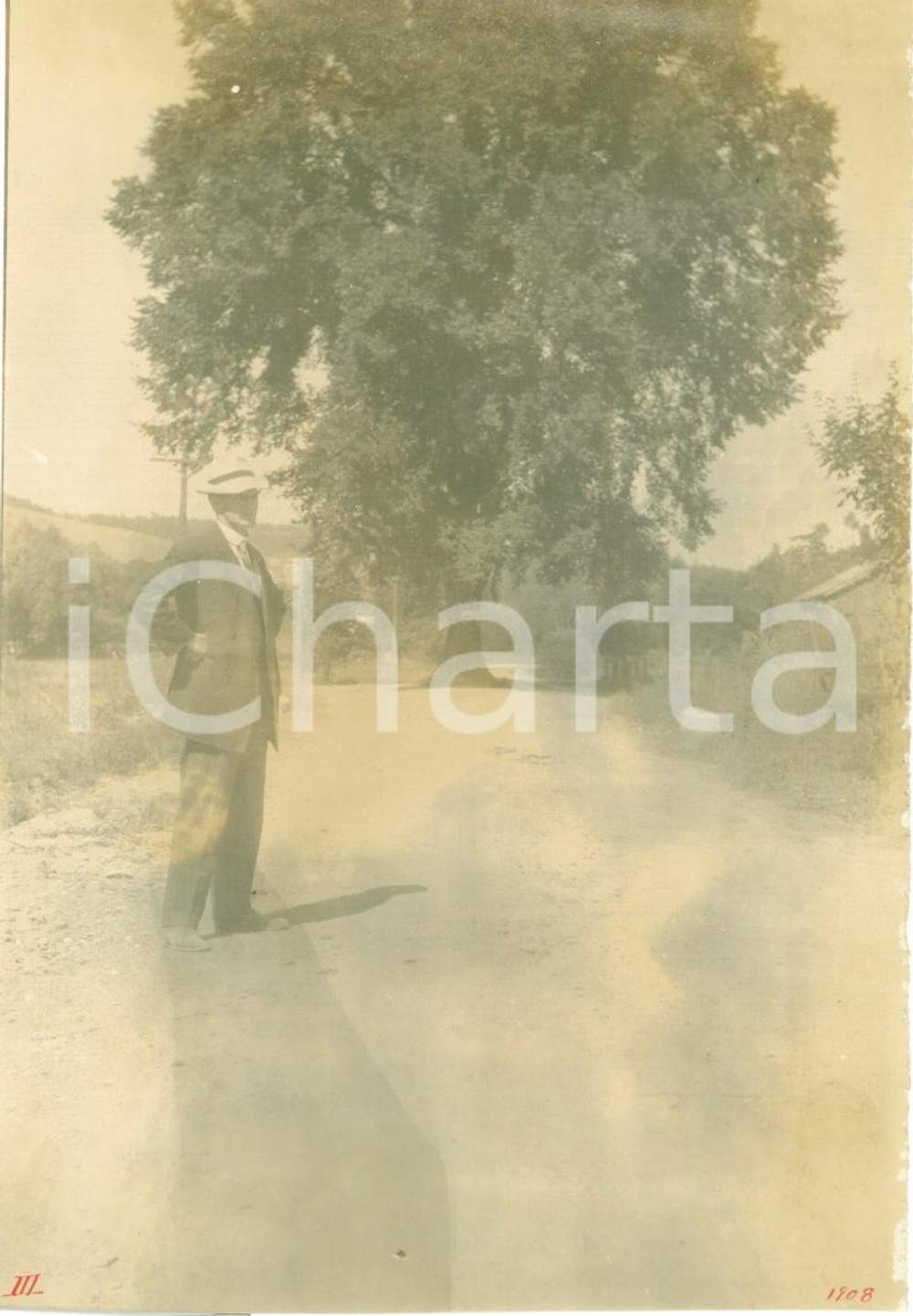 Fotografia d epoca originale 1908 JACKSON, PENNSYLVANIA USA Nuova strada intorno al GIANT ELM Foto animata 1