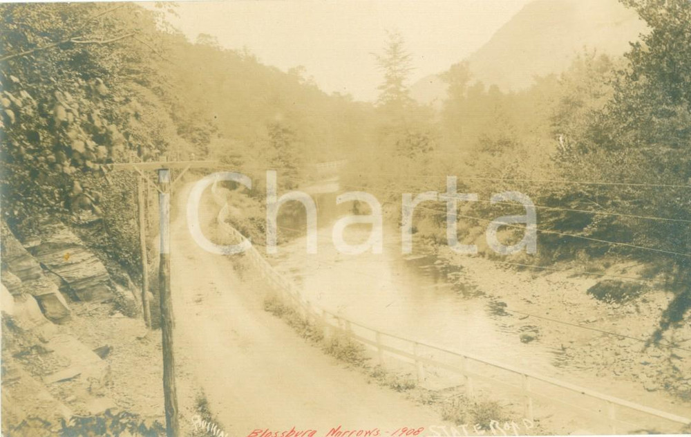 Fotografia d epoca originale 1908 BLOSSBURG, PENNSYLVANIA USA La State Road sul fiume Fotocartolina 1