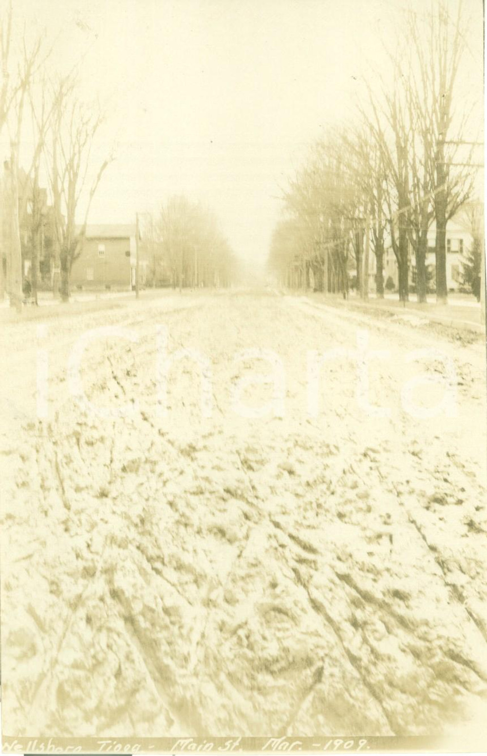 Fotografia d epoca originale 1909 WELLSBORO, PENNSYLVANIA USA Main Street sterrata prima dei lavori FOTO 1