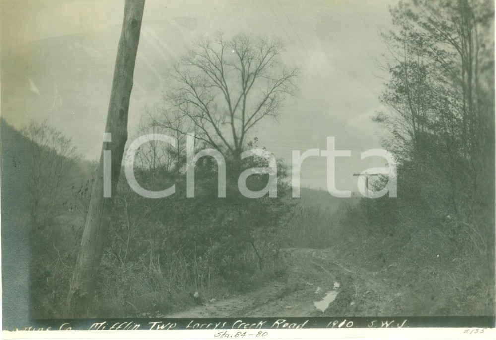 Fotografia d epoca originale 1910 MIFFLIN, PENNSYLVANIA USA Scorcio di Larrys Creek Road Fotografia 1