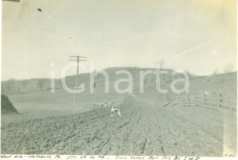 Fotografia d epoca originale 1911 WELLSBORO, PENNSYLVANIA USA Un cane osserva i lavori di West Avenue FOTO 1