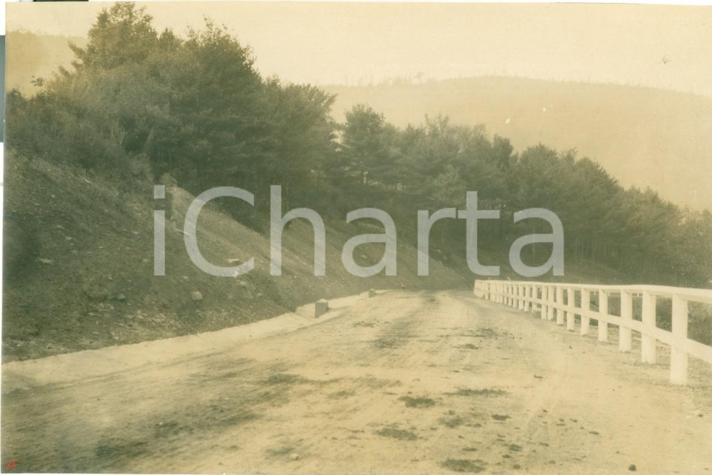 Fotografia d epoca originale 1908 DEERFIELD, PENNSYLVANIA La vecchia strada rurale lungo il TIOGA Fotografia 1