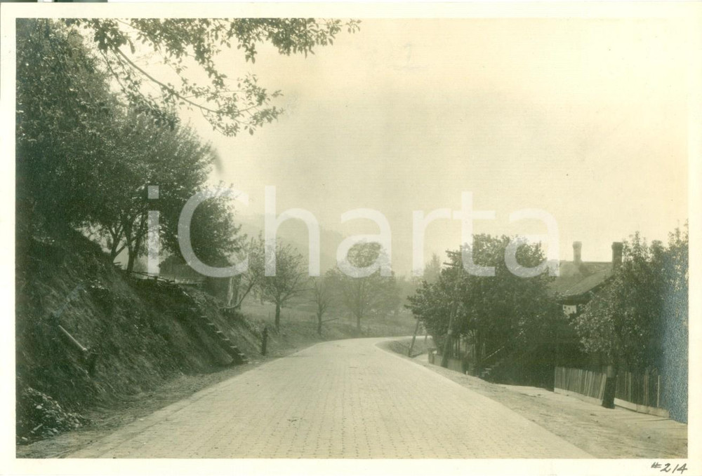 Fotografia d epoca originale 1913 AUSTIN, PENNSYLVANIA USA Veduta della nuova Costello Avenue Fotografia 1