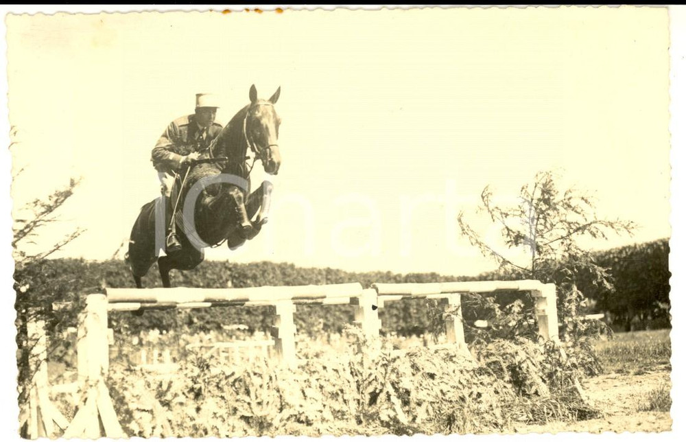 Fotografia d epoca originale 1915 ca WW1 FRANCIA Ufficiale durante un esibizione di equitazione Foto FP 1