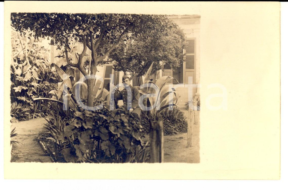 Fotografia d epoca originale 1915 ca WW1 FRANCIA Soldato del 123Â° reggimento di fanteria in un giardino 1