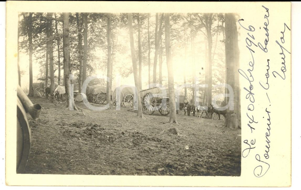 Fotografia d epoca originale 1916 WW1 FRANCE Carri con i rifornimenti per le truppe in un bosco Foto FP 1