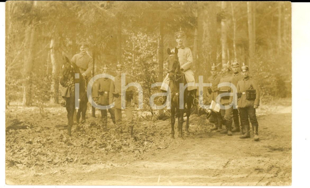 Fotografia d epoca originale 1915 ca WW1 FRANCE Groupe de cuirassiers dans la forÃªt  Photo carte postale 1