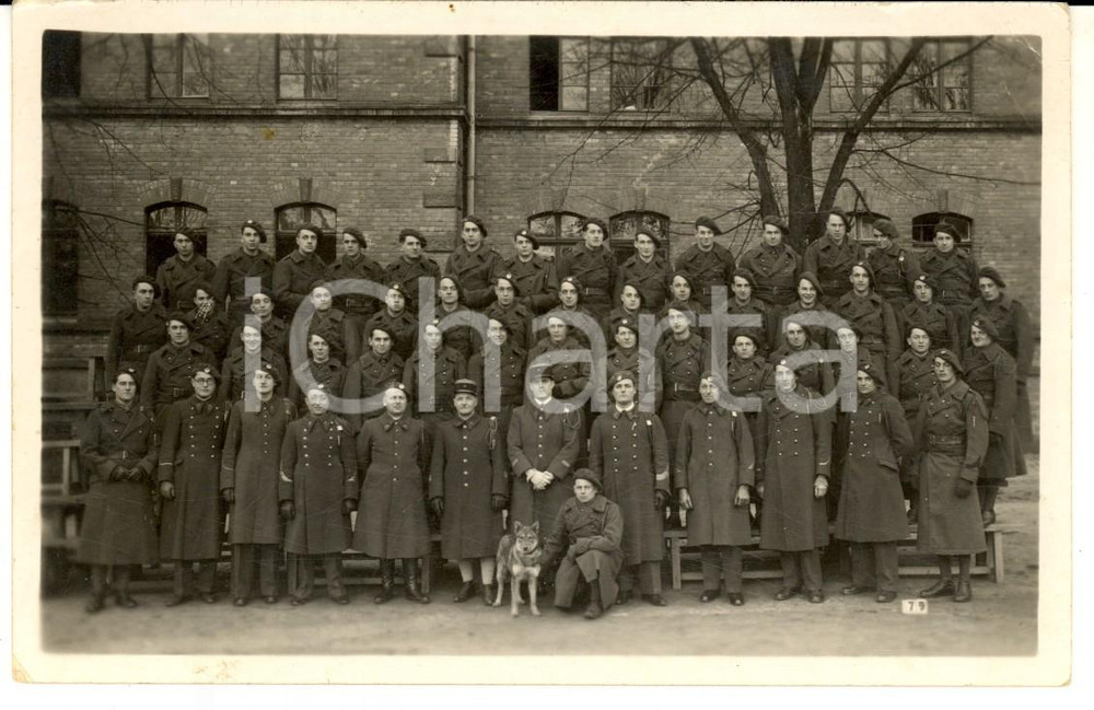 Fotografia d epoca originale 1920 ca FRANCE ARMEE DE TERRE Chasseurs avec leur chienloup Photo carte postale 1