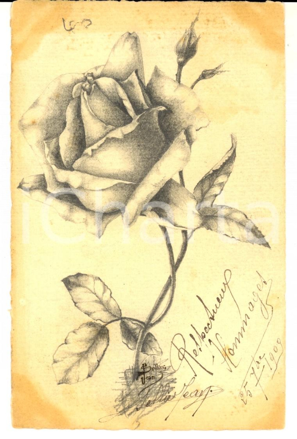 Cartolina originale da collezione 1909 FRANCIA Cartolina con rosa DISEGNATA A MANO Firmata Jean PELLIER 1