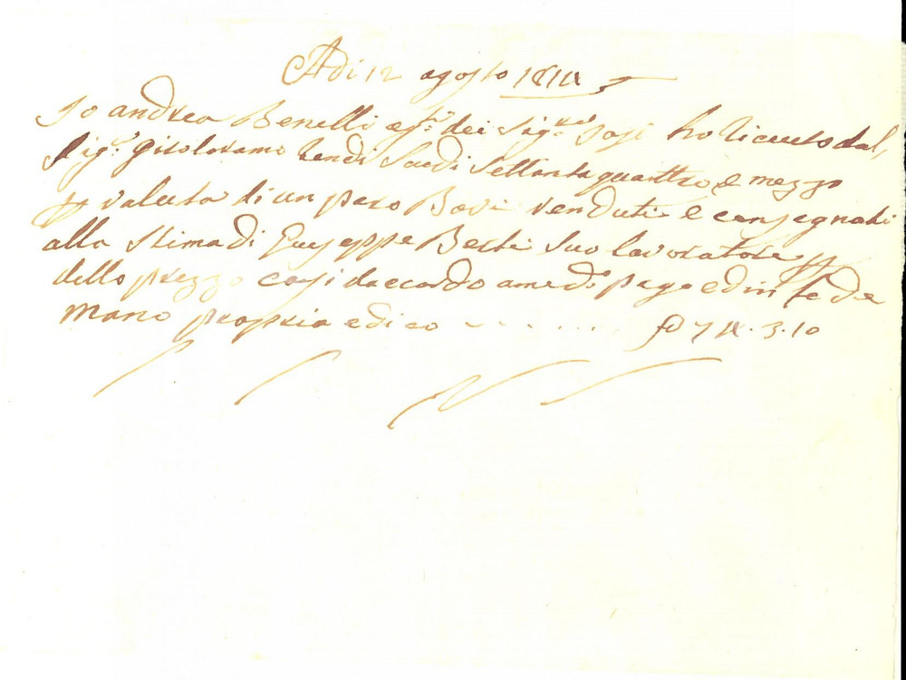 Documento originale, autentico 1814 FIRENZE Ricevuta all agente Andrea BENELLI per un paio di buoi 1