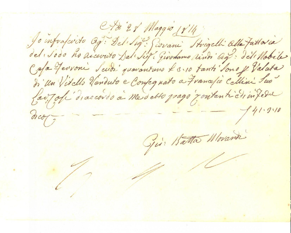 Documento originale, autentico 1814 FIRENZE Ricevuta agente di Giovanni STRIGELLI alla Fattoria del SODO 1