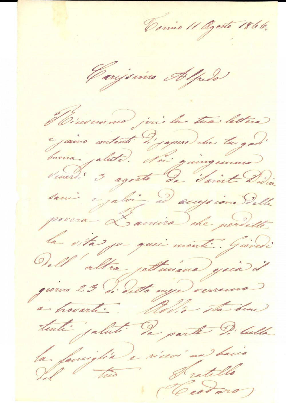 Manoscritto, lettera originale 1866 TORINO La povera Zamira perdette la vita sui monti Teodoro GALIMBERTI 1