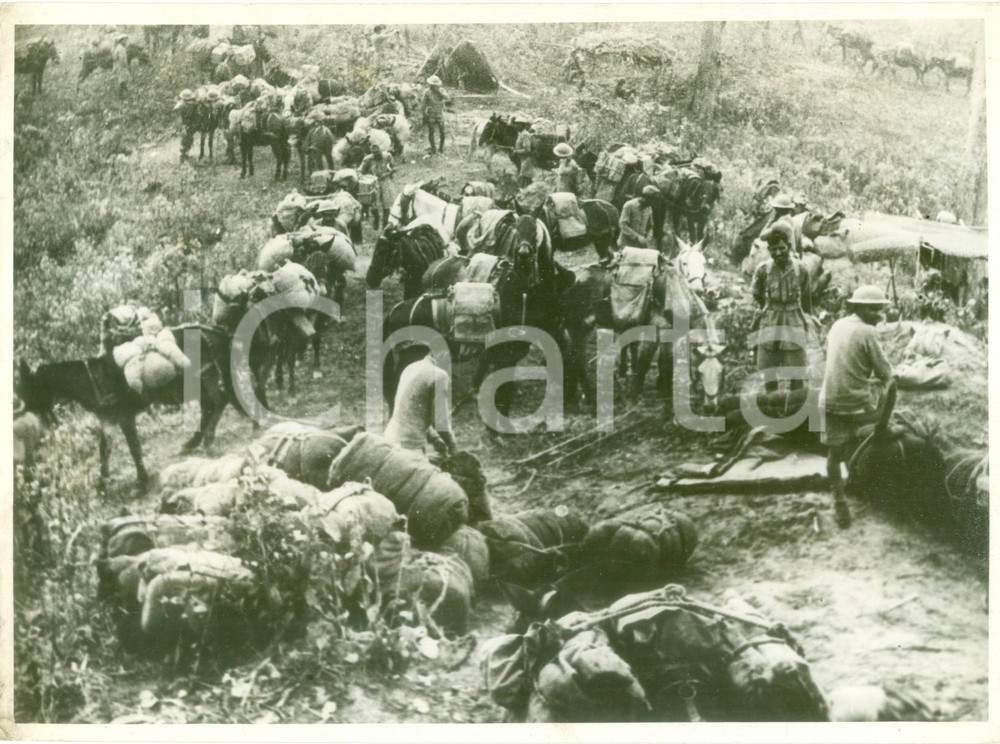 Fotografia d epoca originale 1943 BIRMANIA WW2 Royal Indian Army Service Corps trasportano viveri sui muli 1