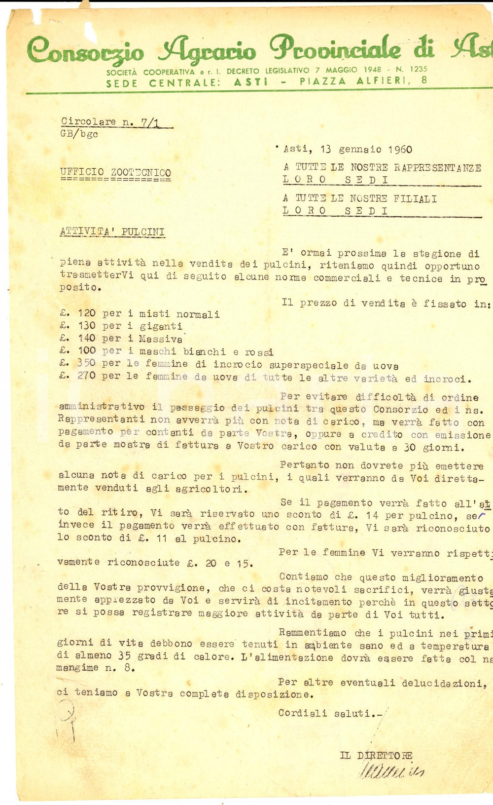 Manoscritto, lettera originale 1960 ASTI Consorzio Agrario Provinciale  Prezzi per la vendita dei pulcini 1