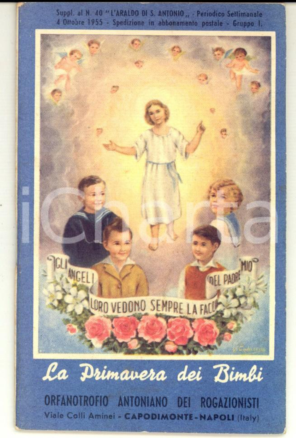 Libro, pubblicazione d epoca 1955 CAPODIMONTE Orfanotrofio Antoniano Rogazionisti  La primavera dei bimbi 1