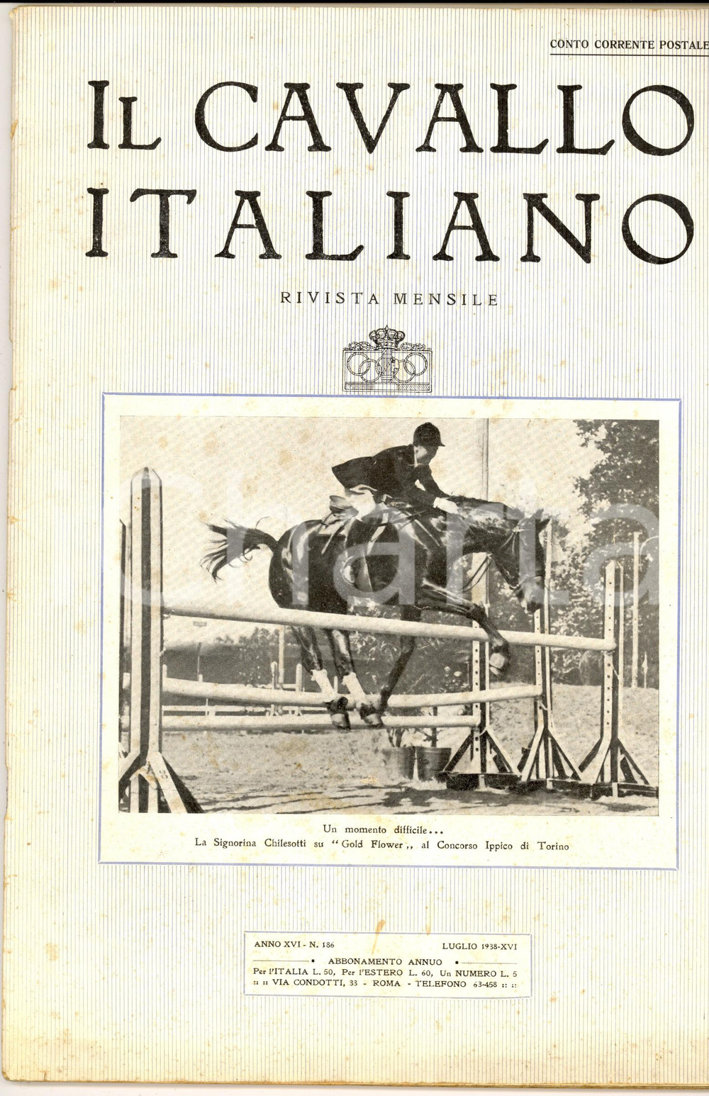 Giornale, rivista storica 1938 IL CAVALLO ITALIANO L Interazionale di Varsavia Rivista anno XVI nÂ° 186 1