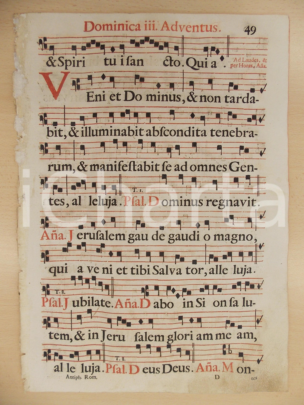 Libro, pubblicazione d epoca 1700 ca ANTIFONARIO ROMANO Pagina canti in rosso nero AVVENTO III domenica 1