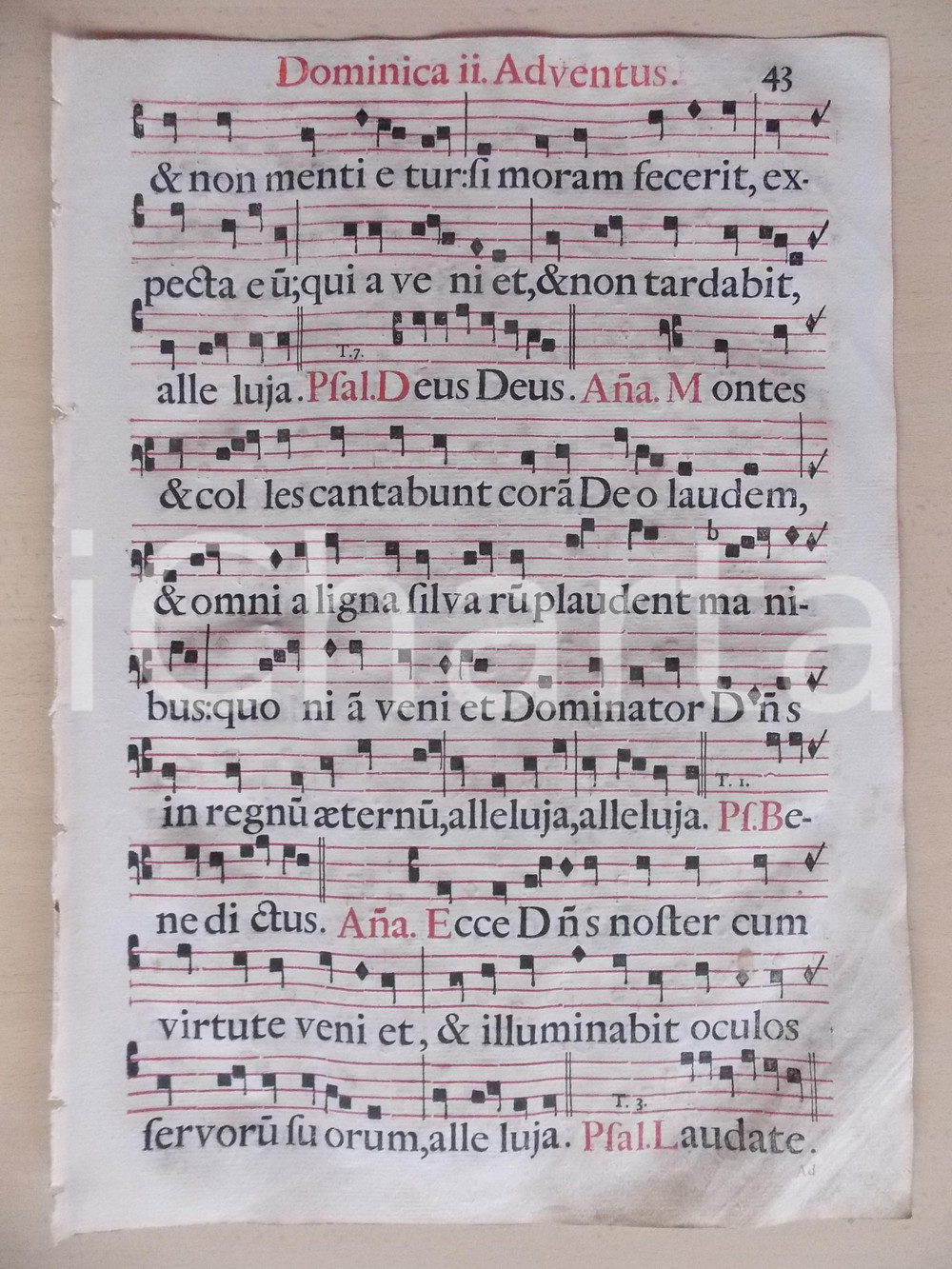 Libro, pubblicazione d epoca 1700 ca ANTIFONARIO ROMANO Pagina canti in rosso e nero AVVENTO II domenica 1