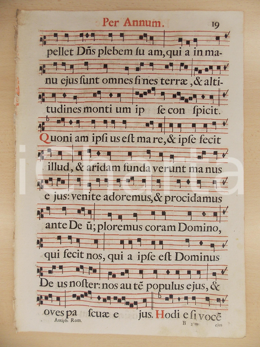 Libro, pubblicazione d epoca 1700 ca ANTIFONARIO ROMANO Pagina canti in rosso e nero VENITE PER ANNUM Psalmus 1