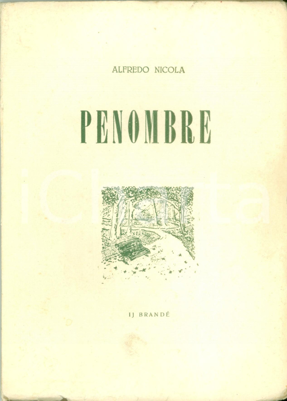Libro, pubblicazione d epoca 1952 Alfredo NICOLA Penombre Poesie piemonteise 19201929 DIALETTO PIEMONTESE 1